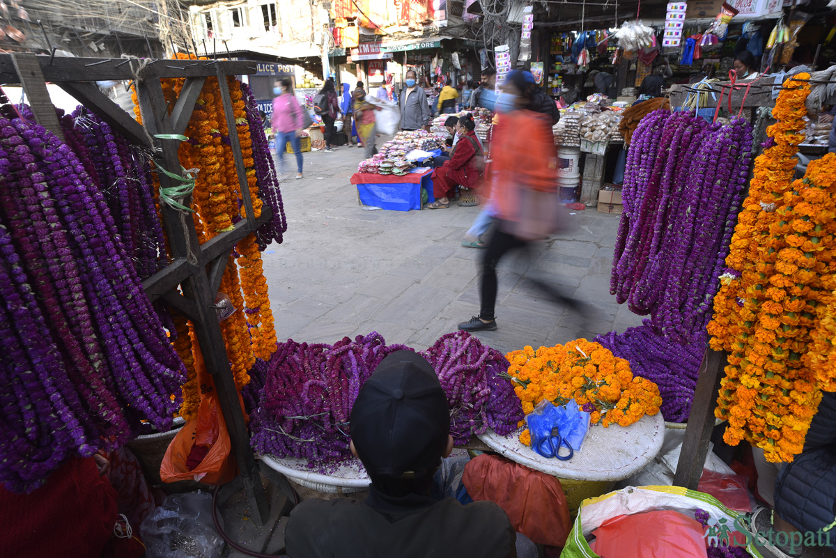 तस्बिर: नारायण महर्जन/सेतोपाटी